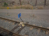 Blue flag Kamloops