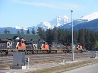 Jasper 6
